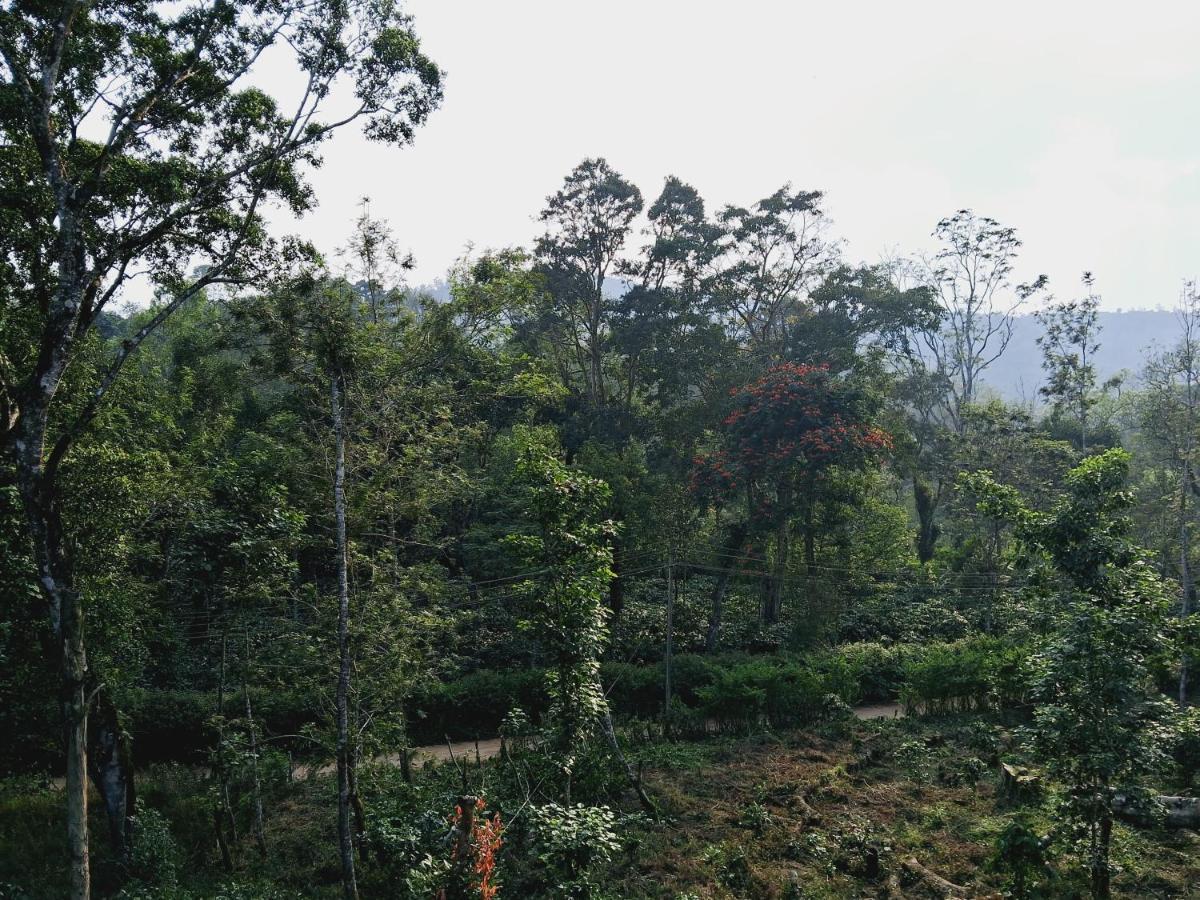 Coorg Teakwood Treasure Homestay Madikeri Exterior photo