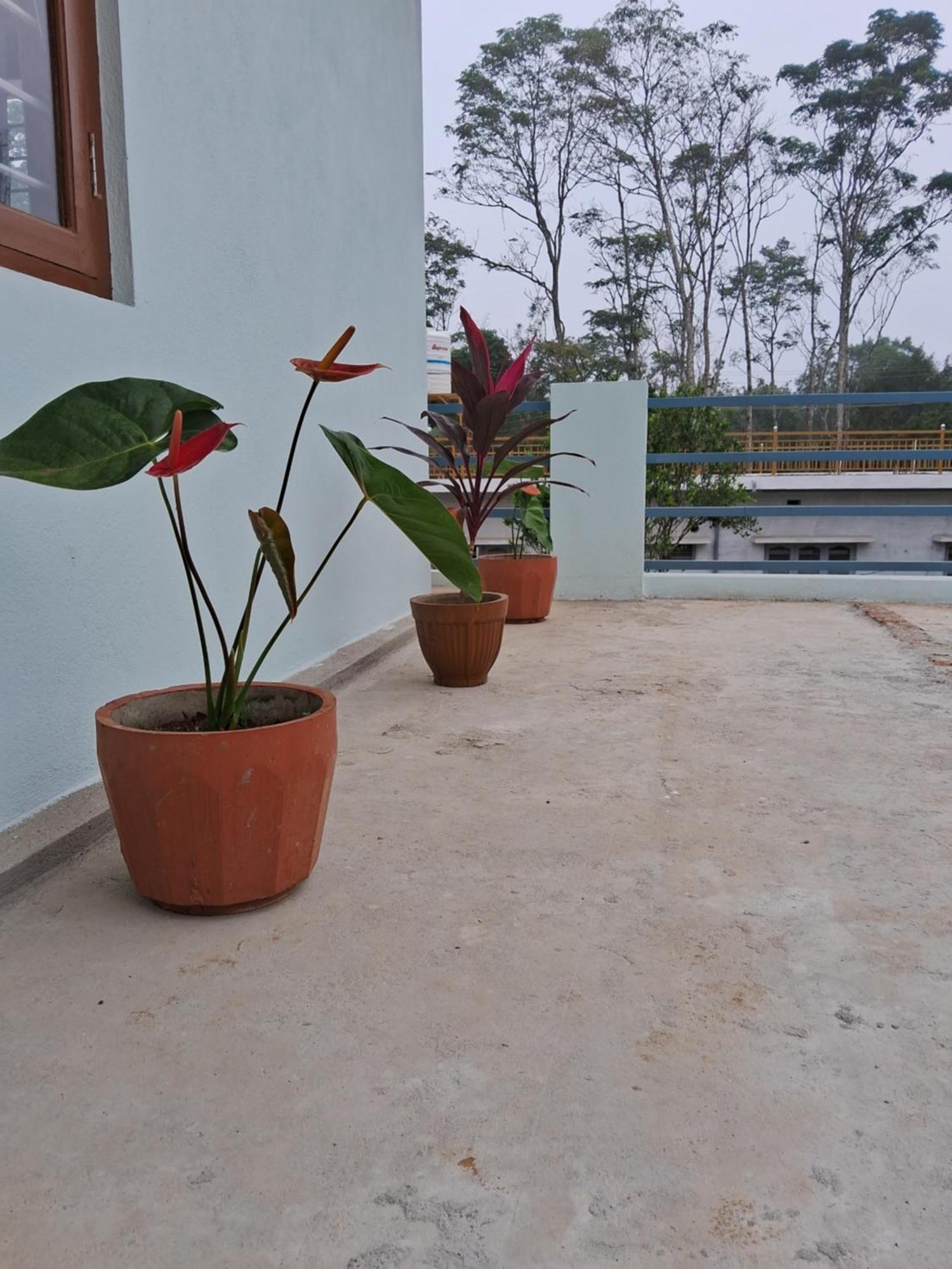 Coorg Teakwood Treasure Homestay Madikeri Exterior photo